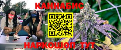 ешки Кингисепп