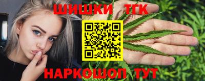 ешки Кингисепп