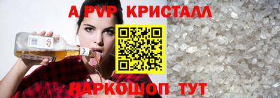 ешки Кингисепп