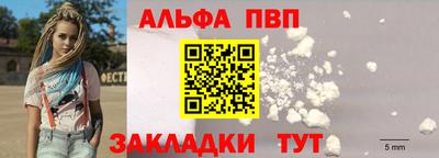 ешки Кингисепп