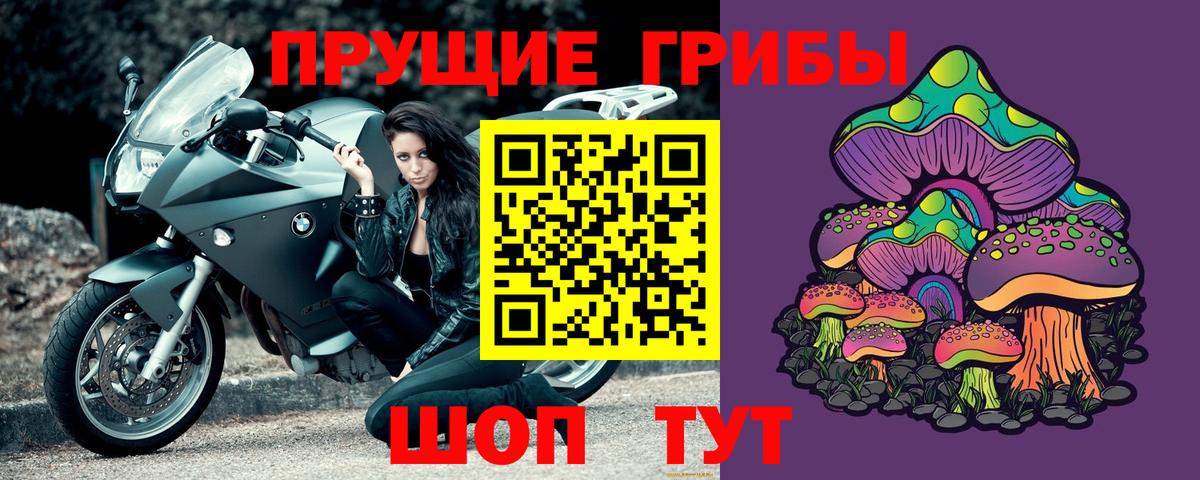 Галлюциногенные грибы Psilocybe  Вход с VPN  Благовещенск 
