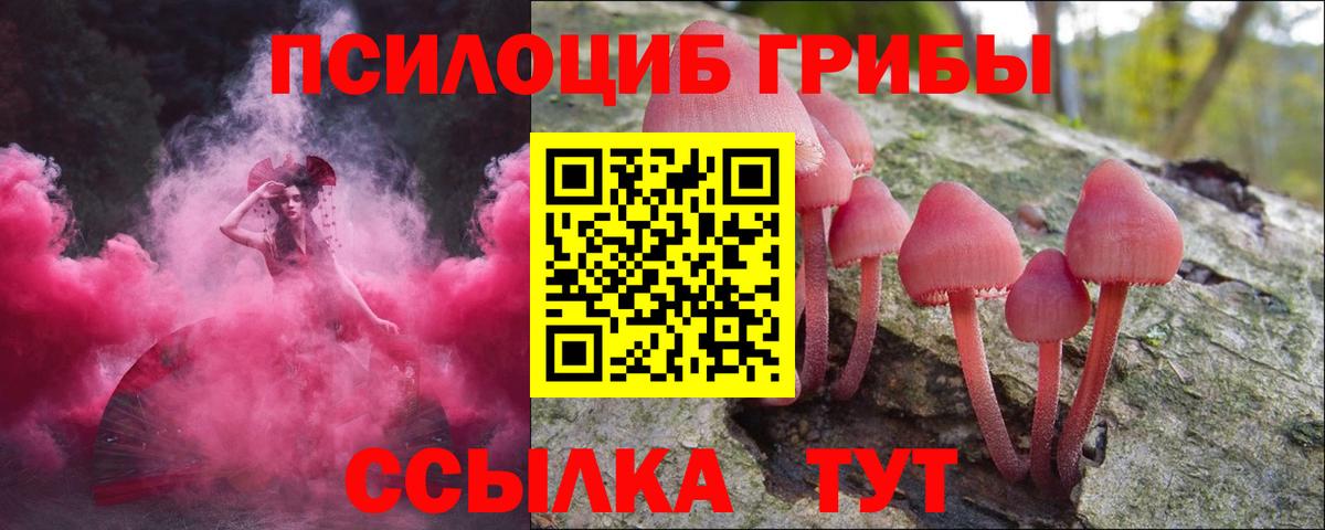 Псилоцибиновые грибы прущие грибы Благовещенск